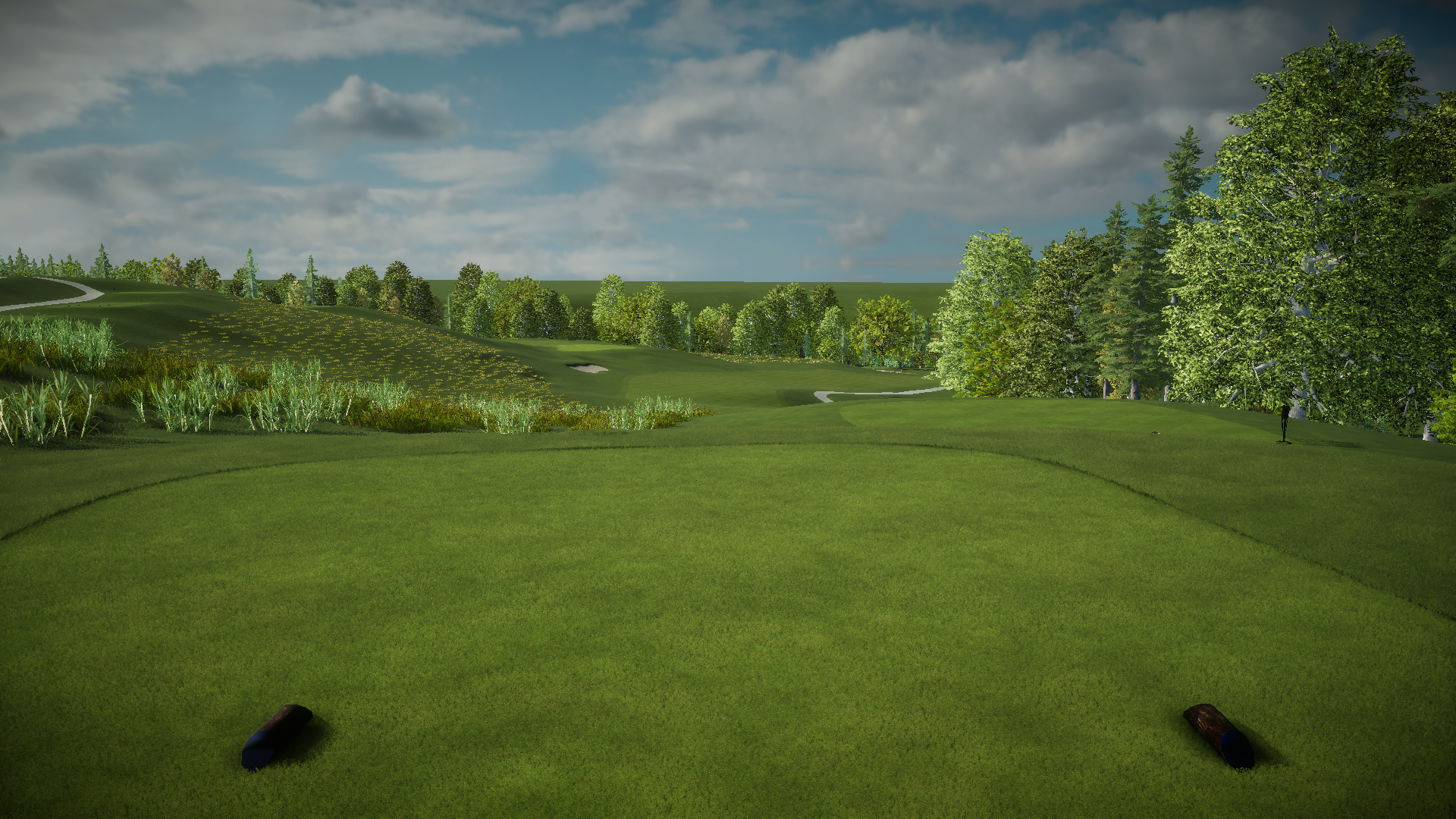 Birdsfoot Golf Club